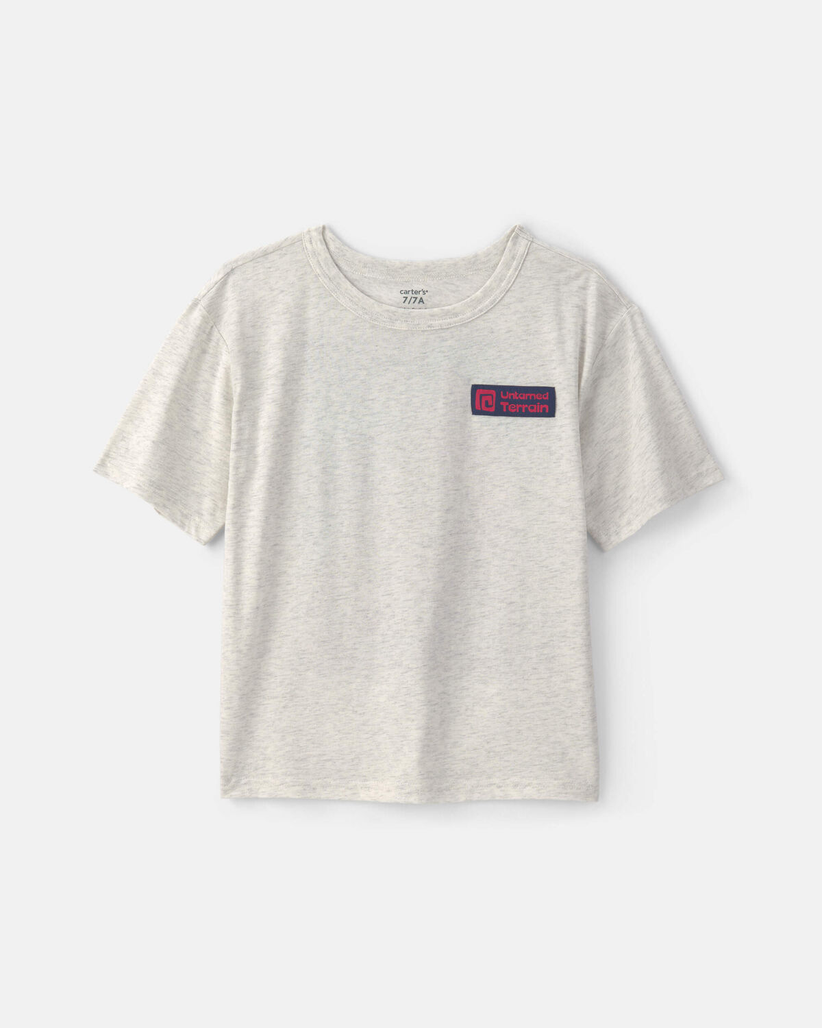 Boys 'Untamed Terrain' Graphic Tee - Grey