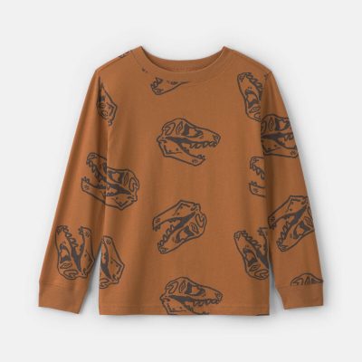 Boys Dinosaur Long-Sleeve T-Shirt - Brown