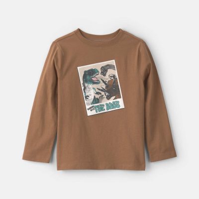 Boys Dinosaur Bros Long-Sleeve Graphic Tee - Brown
