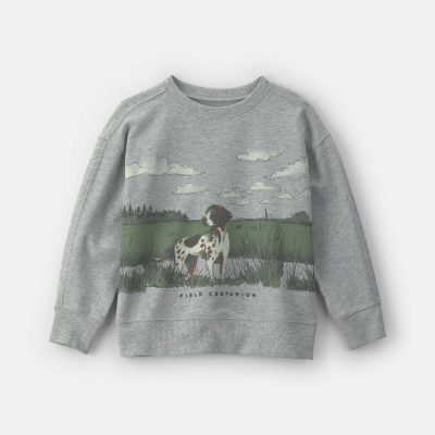Boys 'Field Companion' Dog French Terry Pullover Sweatshirt - Grey