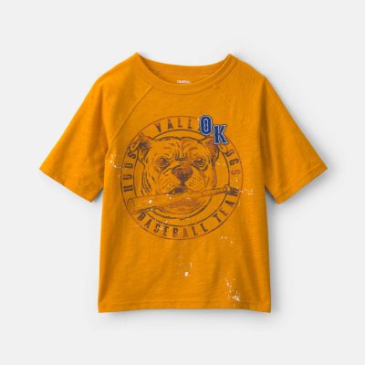 Boys 'Hudson Valley Dogs' Graphic Tee - Yellow