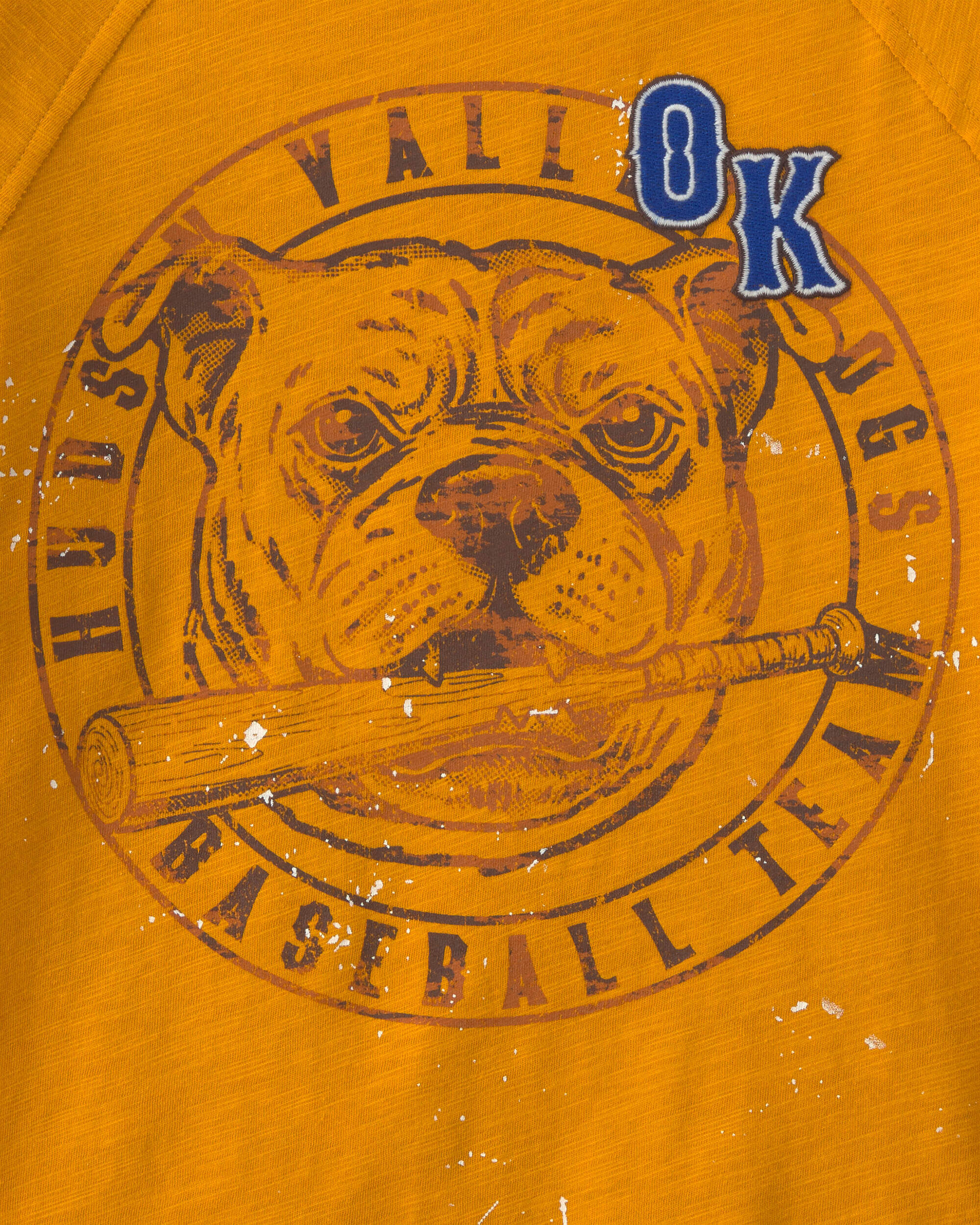 Boys 'Hudson Valley Dogs' Graphic Tee - Yellow - Image 3