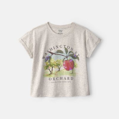 Girls Apple Orchard Graphic Tee - Grey