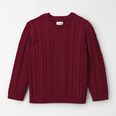 Boys Organic Cotton Cable Knit Sweater