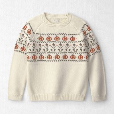 Kids Organic Cotton Fair Isle Sweater Knit Pullover