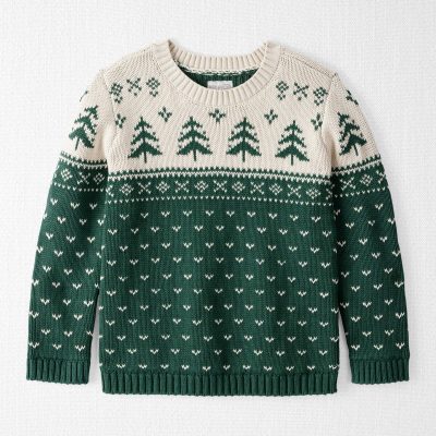 Kids Organic Cotton Fair Isle Sweater Knit Pullover