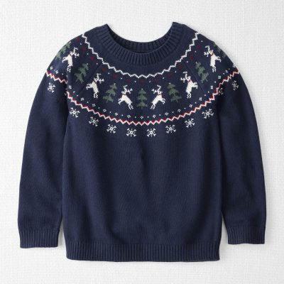 Kids Organic Cotton Fair Isle Sweater Knit Pullover