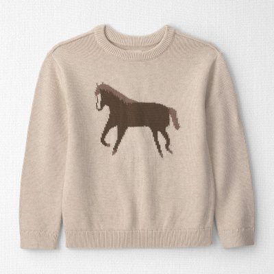 Kids Organic Cotton Horse Sweater Knit Pullover