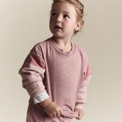 Toddler Girl Colorblock Dolman-Sleeve Sweatshirt - Mauve