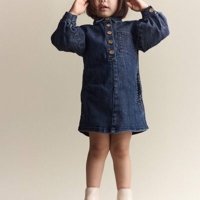 Toddler Girl Puff-Sleeve Denim Dress - Blue