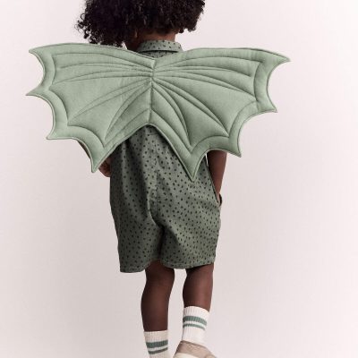Toddler Boy Dragon Wings - Sage