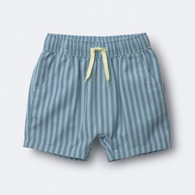 Toddler Boy Playground Shorts in Stripes - Blue