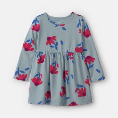 Toddler Girl Floral Long-Sleeve Dress - Blue