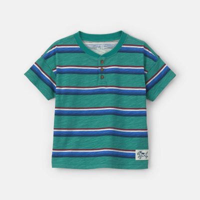 Toddler Boy Striped Henley T-Shirt - Green/Blue