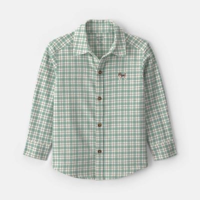 Toddler Boy Plaid Flannel Button-Down Shirt - Green/White