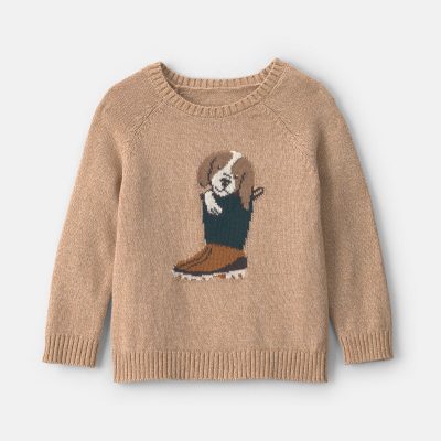 Toddler Boy Dog Sweater - Brown
