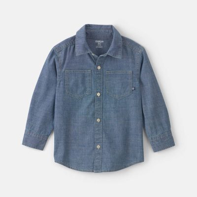 Toddler Boy Chambray Button-Down Shirt - Indigo