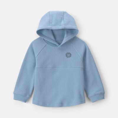 Toddler Boy Long-Sleeve Hooded Top - Blue