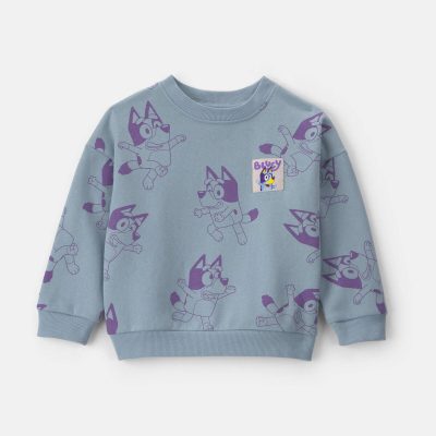 Toddler Girl Bluey™ Fleece Pullover Sweatshirt - Blue