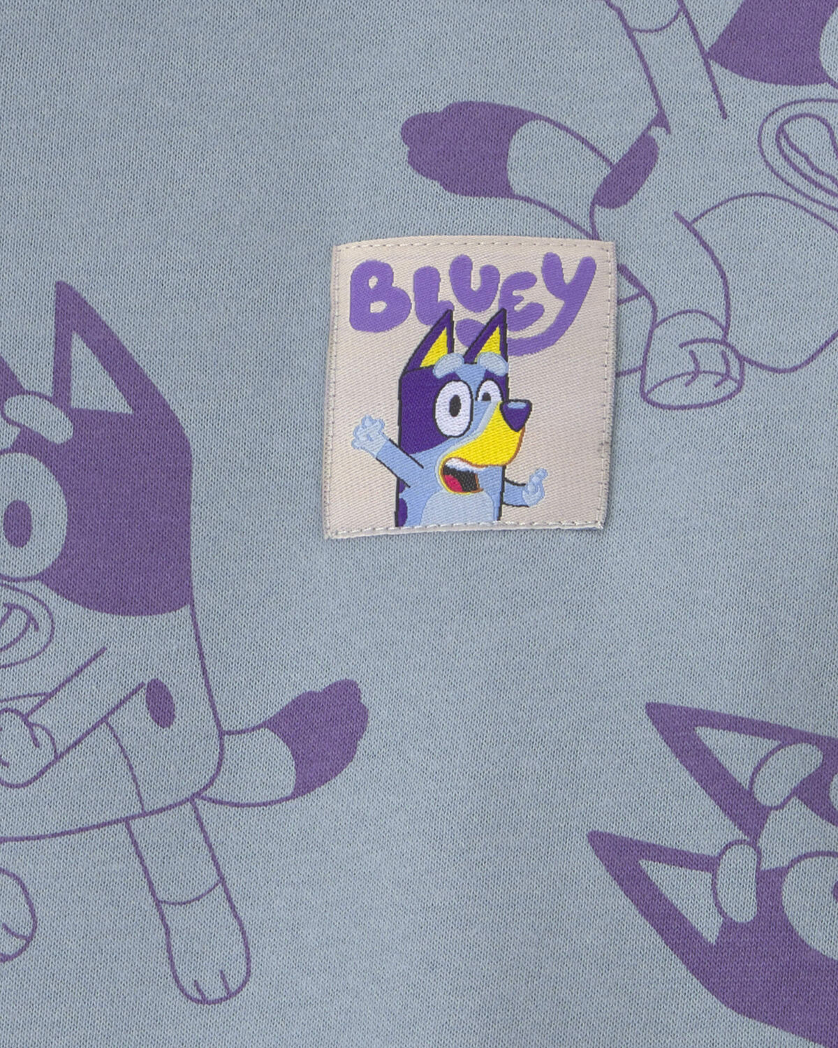 Toddler Girl Bluey™ Fleece Pullover Sweatshirt - Blue - Image 2