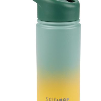 Wander Stainless Steel Straw Bottle - Ombré Green