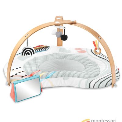 Discoverosity Montessori-Inspired Play Gym