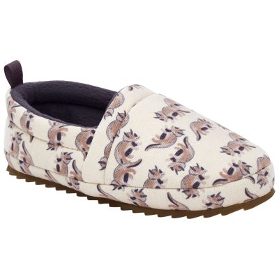 Dinosaur Slipper Shoes