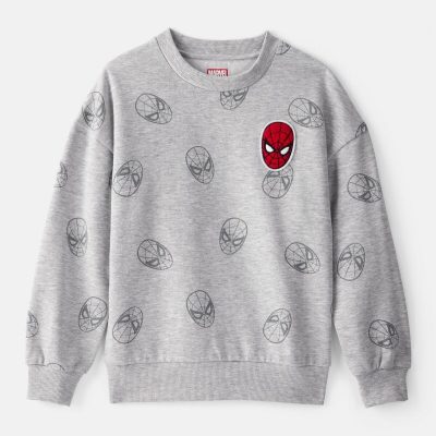 Boys ©Marvel Spider-Man Pullover Sweatshirt - Grey